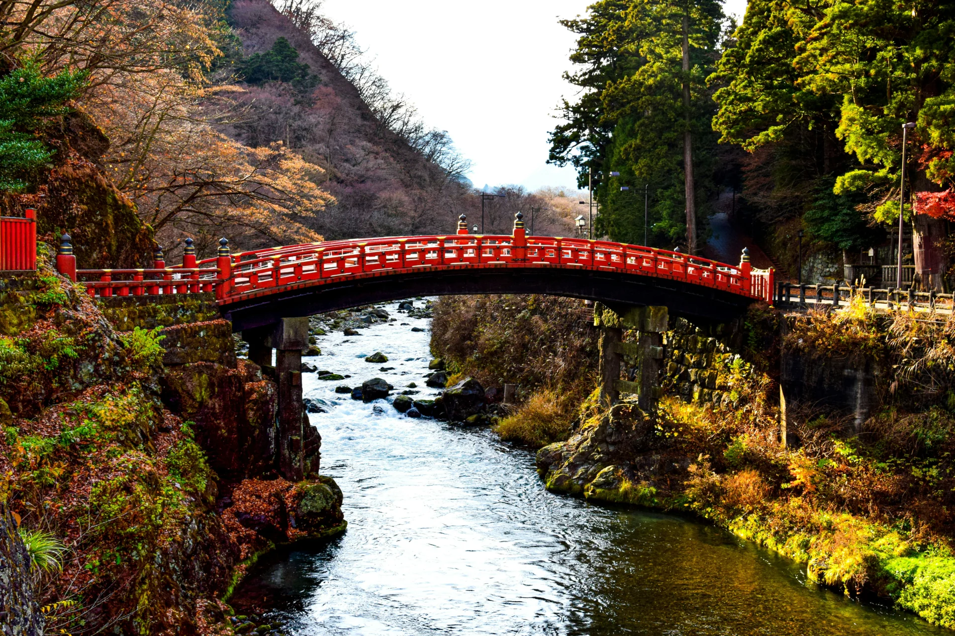 Nikko 39