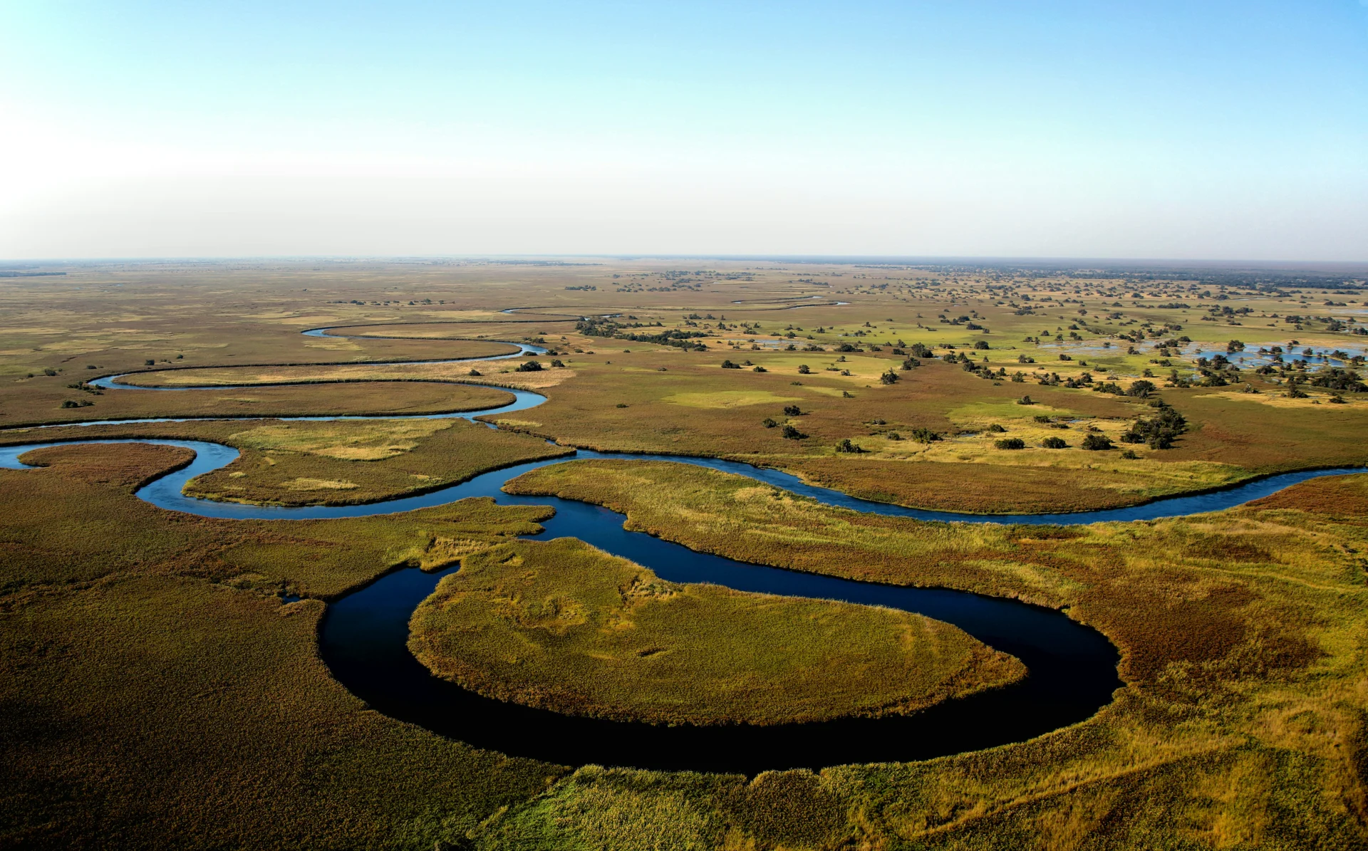 Okavango Delta 42