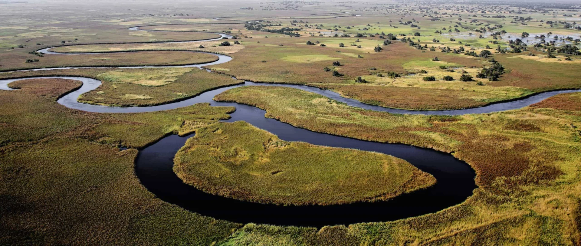 Okavango Delta 43