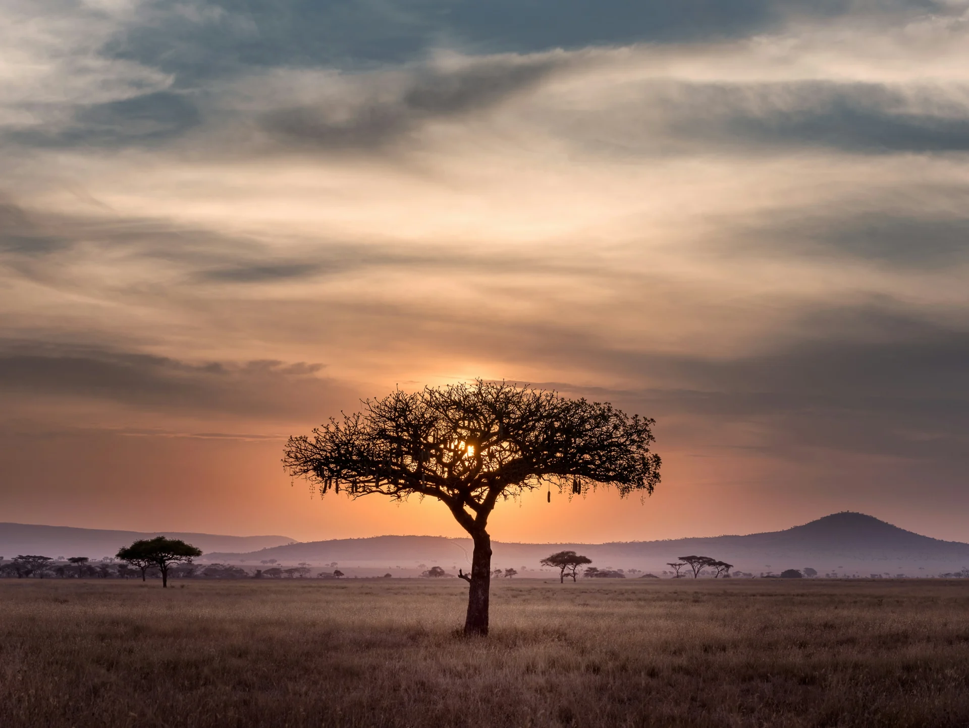 Serengeti 29
