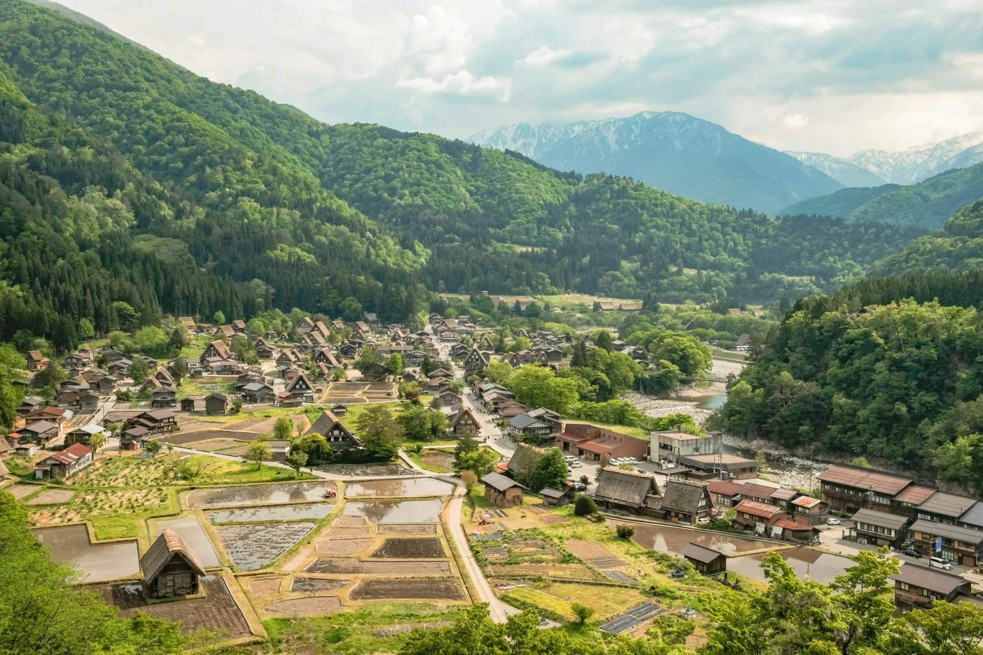 Shirakawa 39