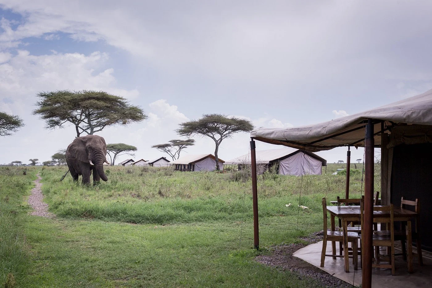 Singita Sabora Tented Camp, Serengeti