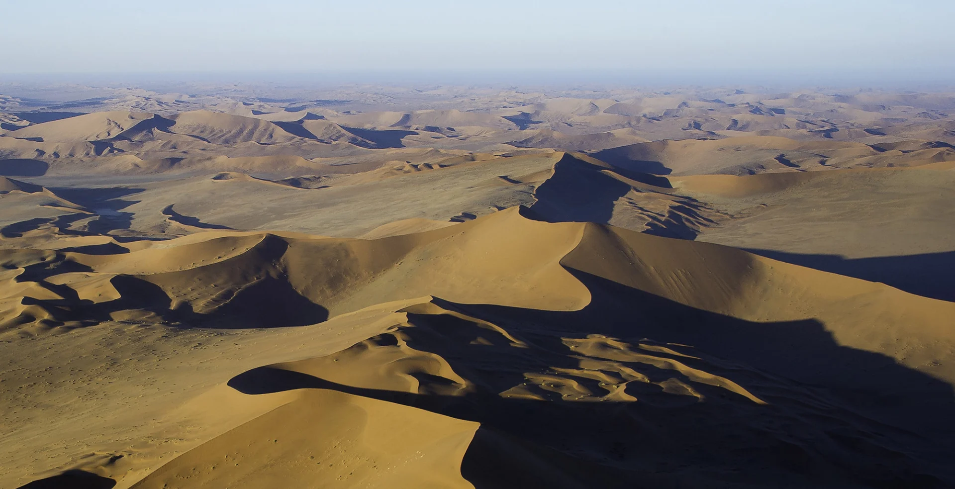 Sossusvlei 44