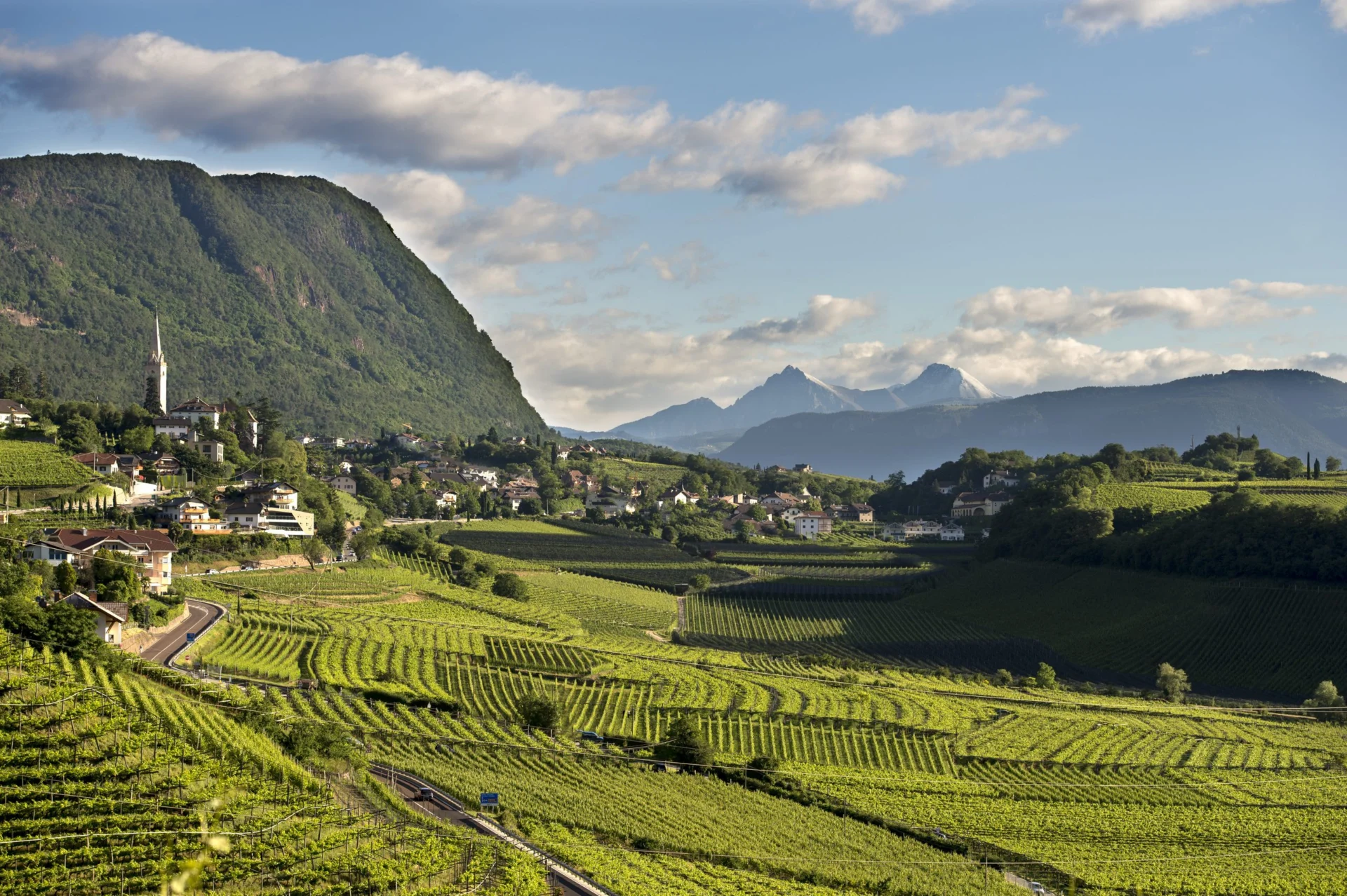 South Tyrol Wine Road 48