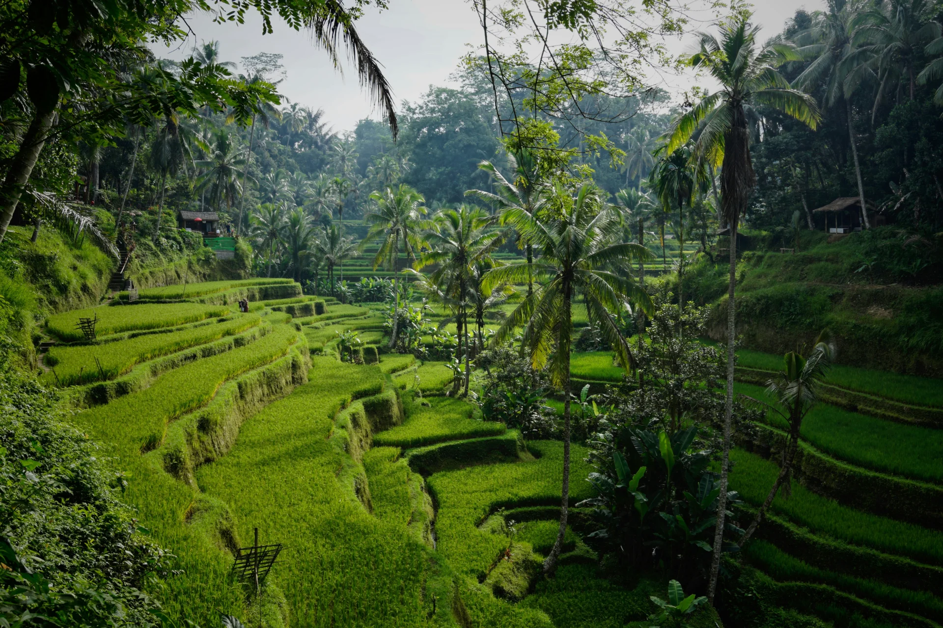 Ubud