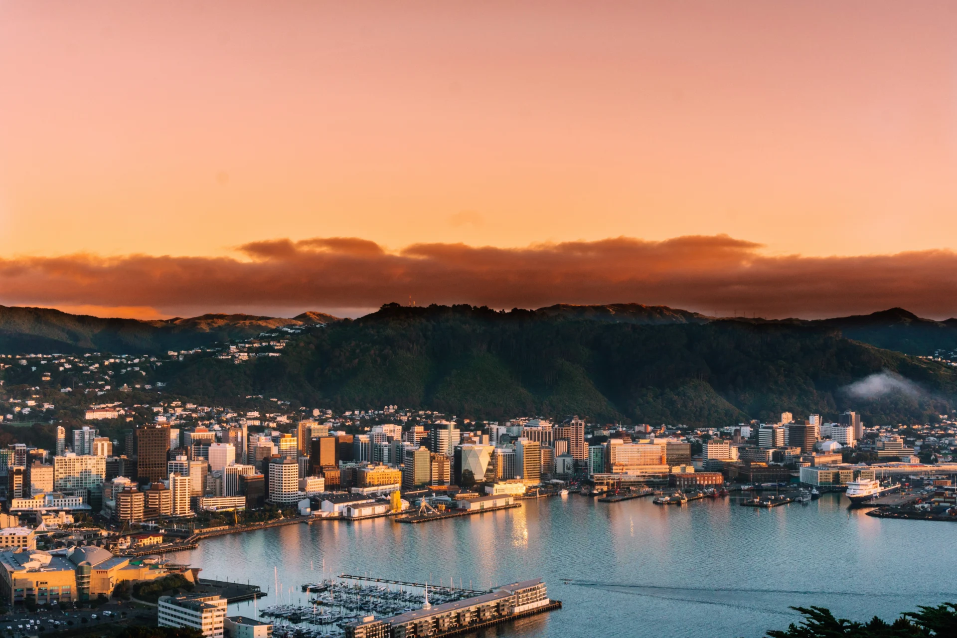 Wellington 2.13