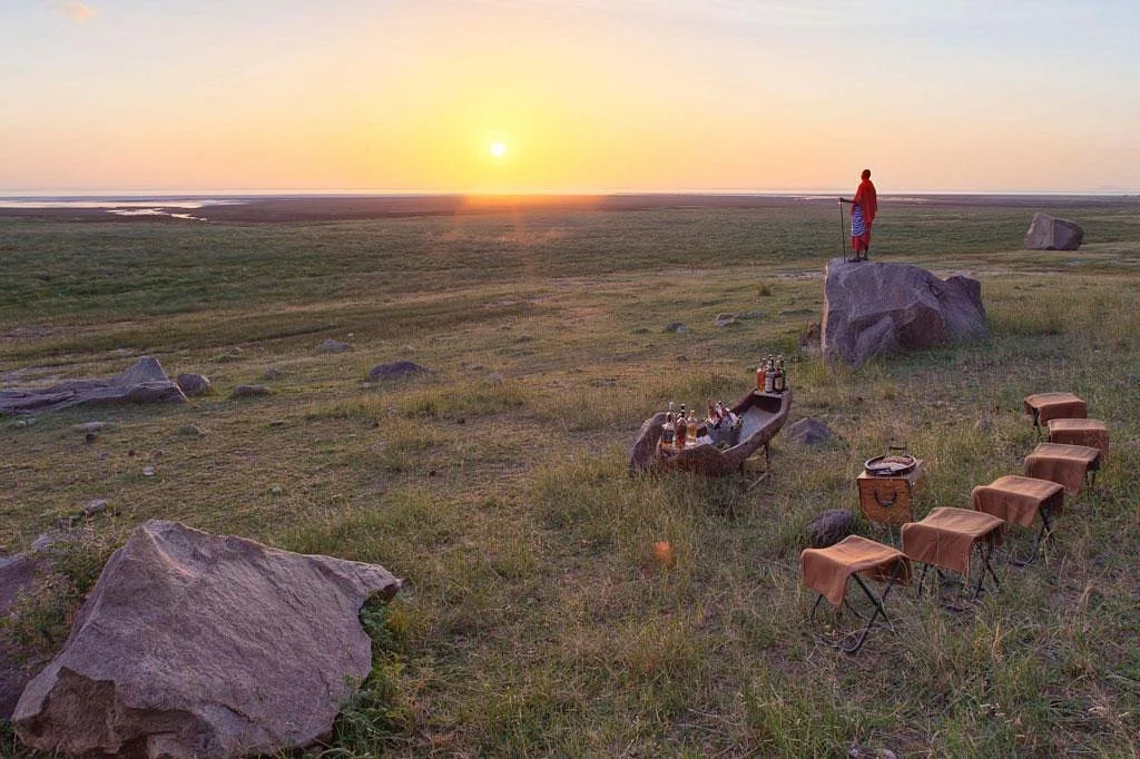 picnic safari