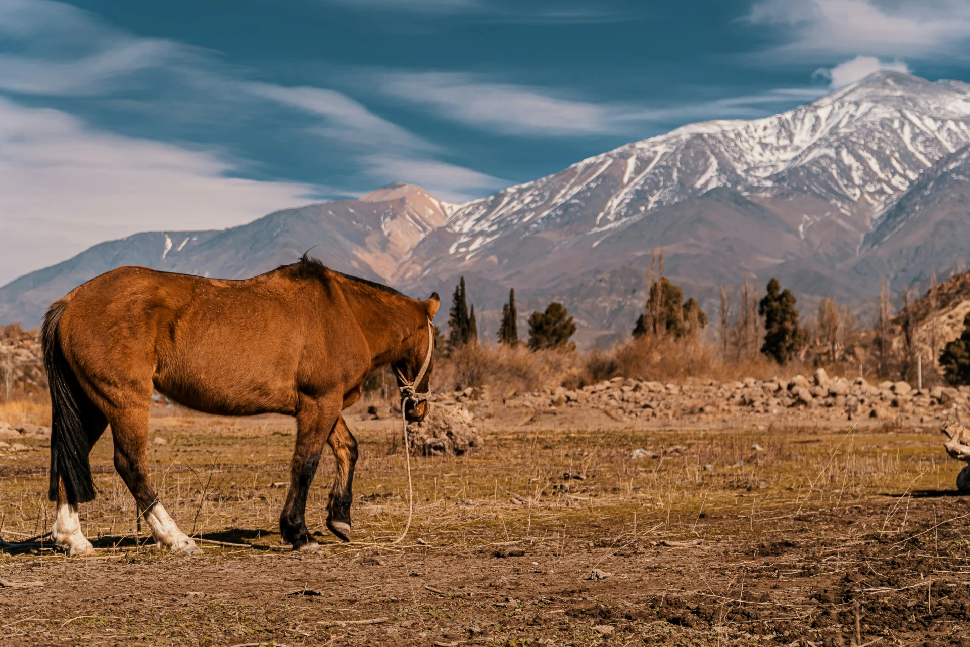 rafael-hoyos-weht-sylXIEYM4-I-unsplash (1)