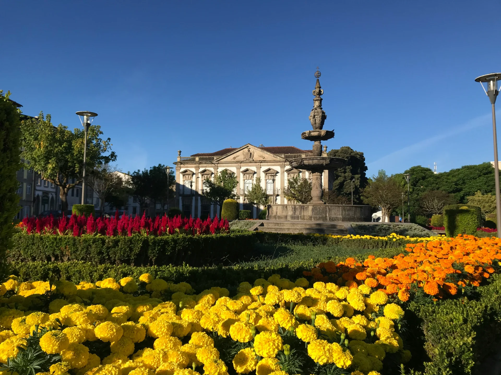 rafael-molica-qy_9ec9d7cE-unsplash