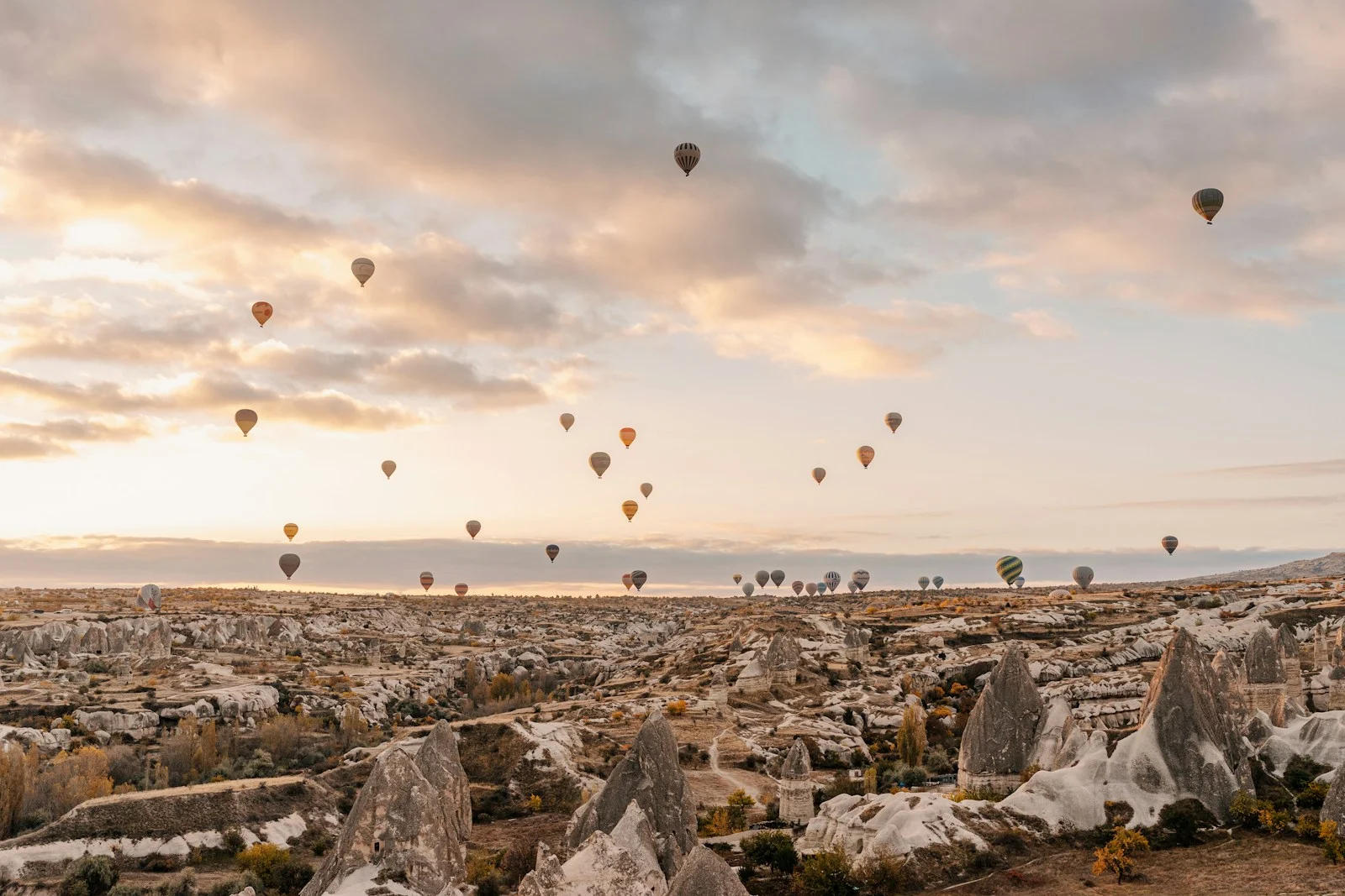 A bunch of hot air balloons flying in the sky